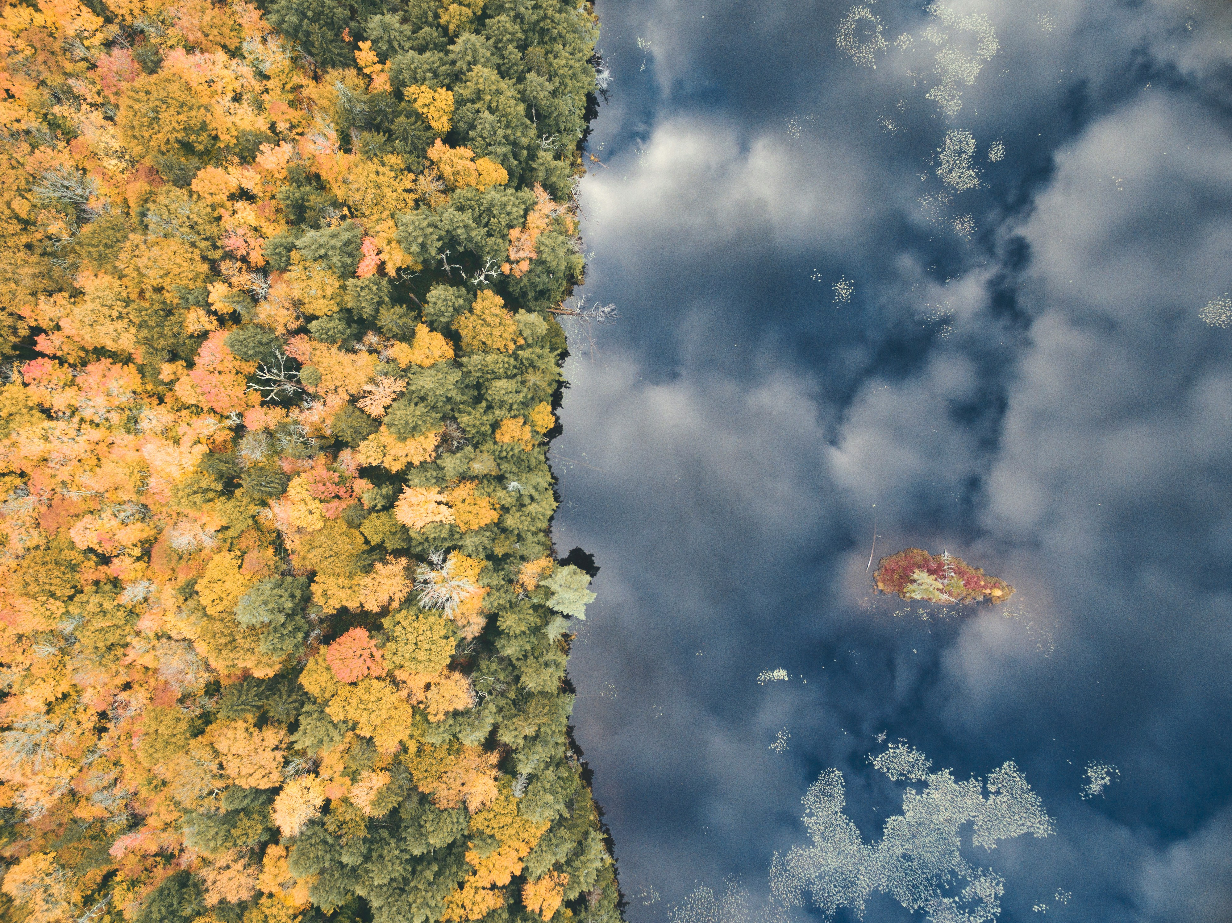 Ventajas de la Empresa